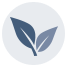 Green Construction and Sustainability